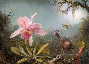  blumen - Cattelya Orchidee und drei brasilianische Kolibris Blumenmaler Martin Johnson Heade